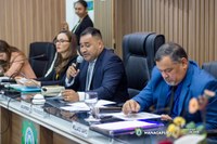 3ª SESSÃO ORDINÁRIA | 19ª LEGISLATURA